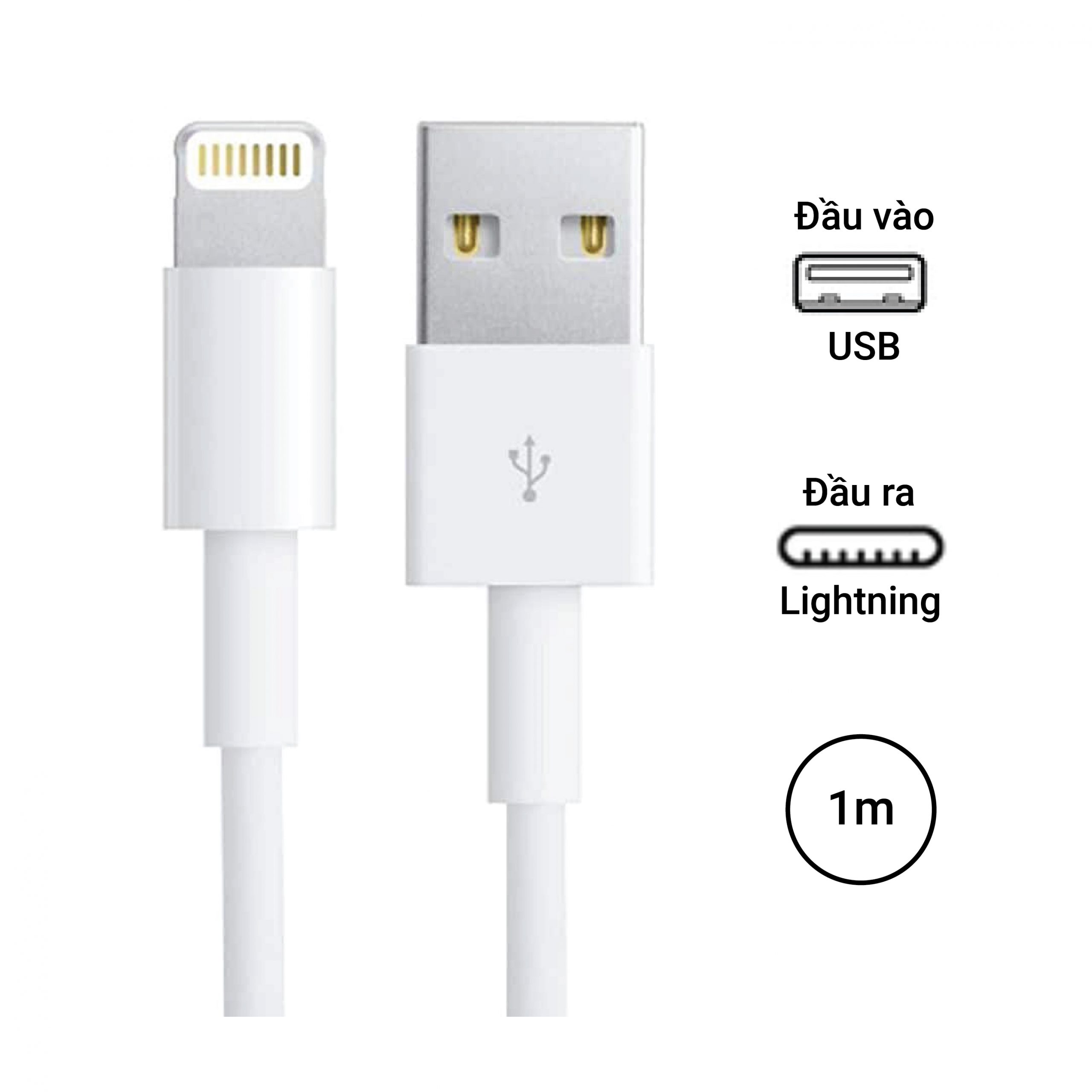 Cáp sạc Apple 5W